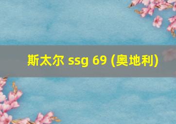 斯太尔 ssg 69 (奥地利)